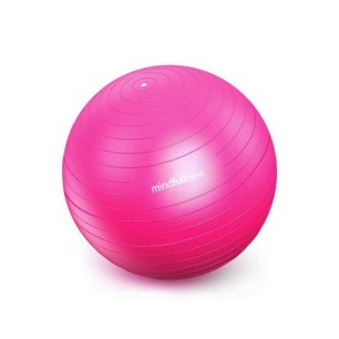 Balón Pilates 55cm |...