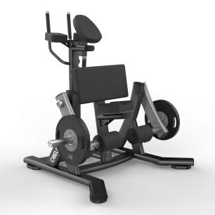 Standing Leg Curl T8 Series...